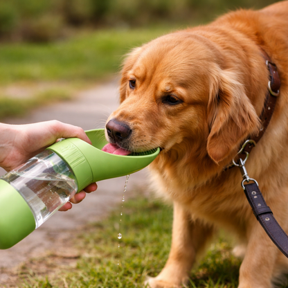 HappiSip 2-in-1 Travel Bottle